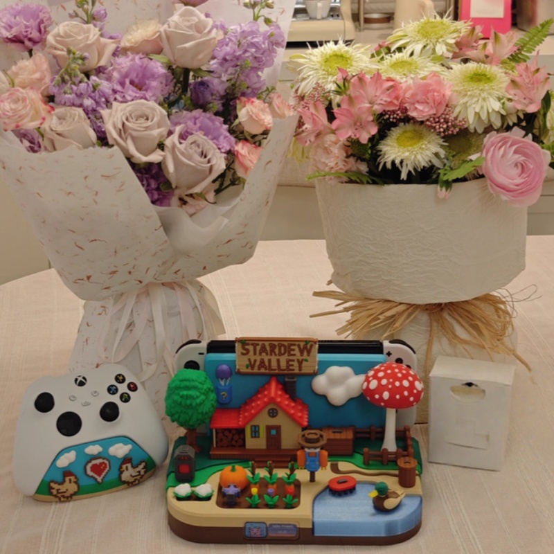 Switch Dock Stardew Valley Far - Gaming Console With avis et prix